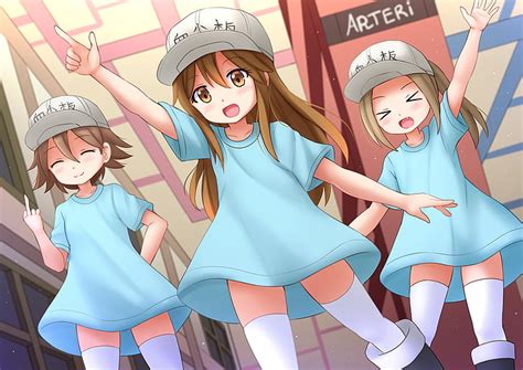 Hd Wallpaper Anime Cells At Work U 1146 Cells At Work