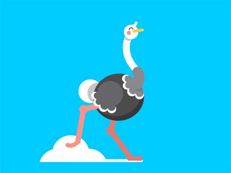 Running Ostrich Motion Design Animation Character Design Animation