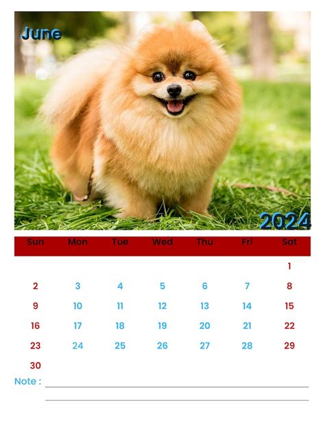 2024 Calendar Wall Calendar 2024 Cute Dogs Calendar Dogs Calendar Pets