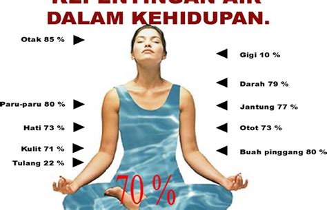 Untuk membolehkan pengukuran yang diambil oleh ahli sains yang berbeza supaya lebih selaras. Kepentingan Air Dalam Tubuh Manusia ~ Fakta Dan Kisah Bumi