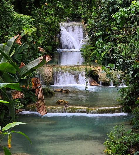 Vanuatu Waterfall Mele Cascades Waterfall Plant And Nature Photos