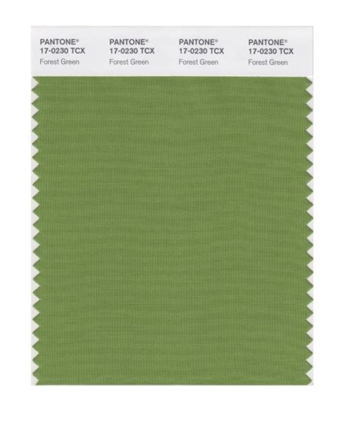 Pantone 17 0230 Tcx Swatch Card Forest Green Design Info