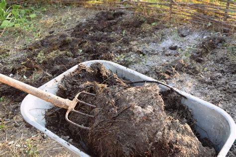 How To Prepare Your Garden Beds For Winter