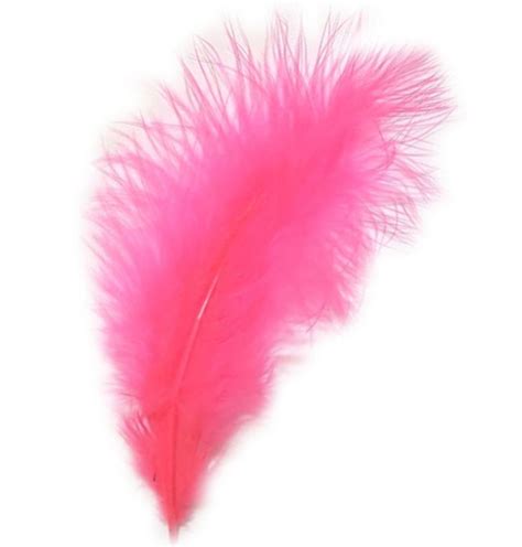 Pink Feathers Arts And Crafts Feather Planet