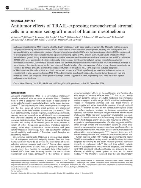 Check spelling or type a new query. (PDF) Anti-Tumor Effects of TRAIL-Expressing Mesenchymal ...