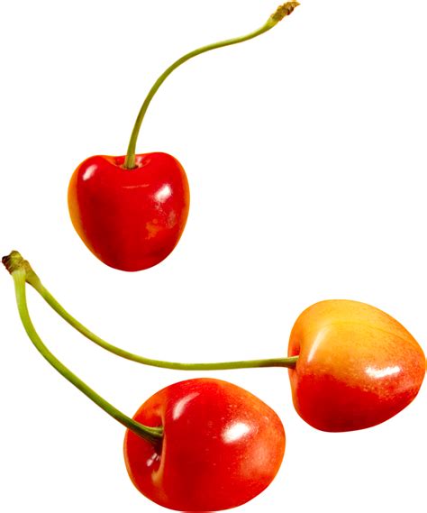 Download Cherry Png Image For Free