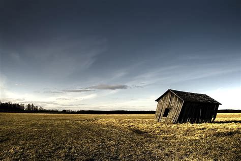 Brown Wooden Shed Shed Ruins Wooden Field Lonely Autumn Hd