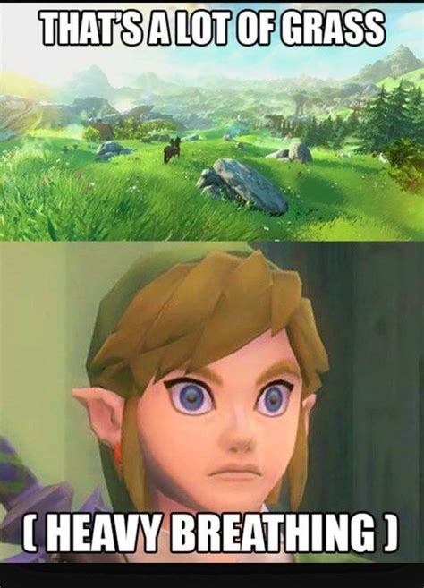 that s a lot of grass legend of zelda memes legend of zelda zelda funny