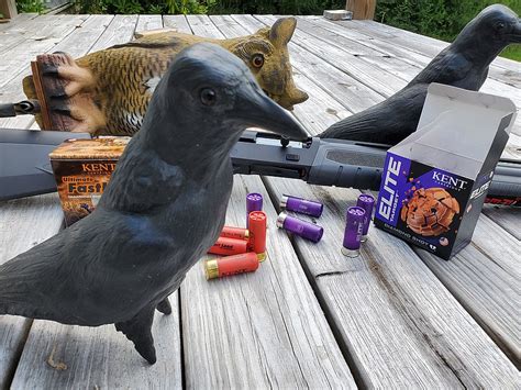 Case Crows Are Smart Varmints Who Make Good Target Practice Chattanooga Times Free Press