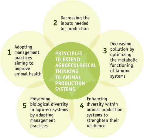 Five Ecological Principles For The Redesign Of Animal Production