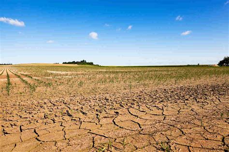 Como Combater A Seca E Desertificação 5 Ações Práticas Para O Dia A Dia Recicla