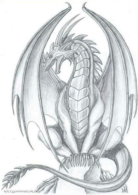 Pin By Connie On Tatoos Dragon Drawing Dragon Sketch Dragon Artwork