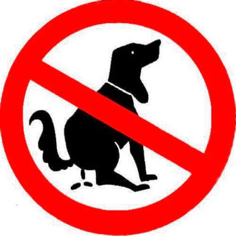 Hundehaufen nerven - Gemeinderat droht mit Steuererhöhung ...