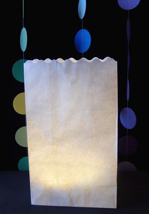 White Paper Luminaries Luminary Lantern Bags Path Lighting 10 Pack