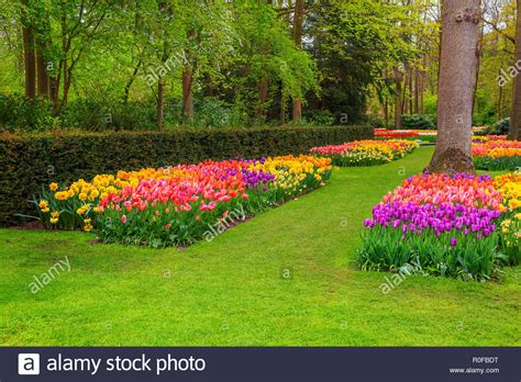 Beautiful Spring Landscape Stunning Keukenhof Garden With