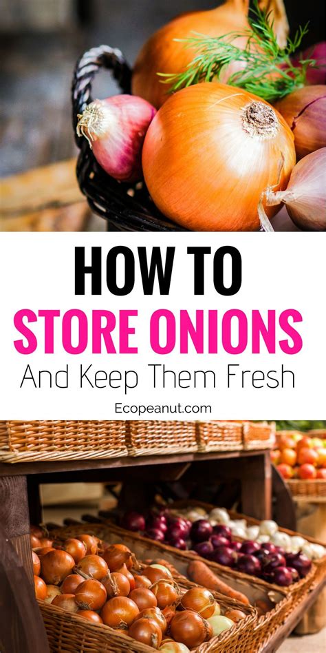 Storing Onions And Potatoes How To Store Potatoes Onion Storage