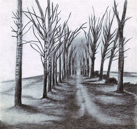 Sketch Of Trees Along A Road Perspective Landscape Drawings Tree