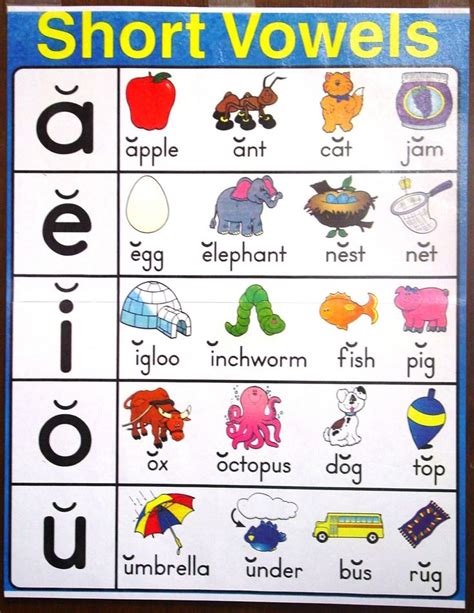 A Poster With Words And Pictures On It That Say Short Voiels In English