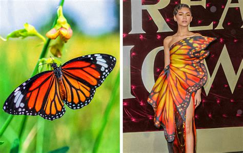 15 Celebrities Featuring Animal Inspired Outfits To Prove Nature Is The