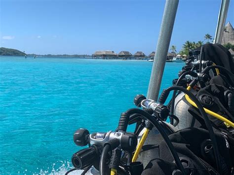 Topdive Bora Bora Vaitape 2019 All You Need To Know Before You Go
