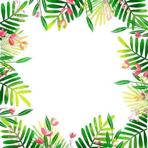 Fresh Plant Png Image Summer Fresh Hand Painted Plant Borders Summer