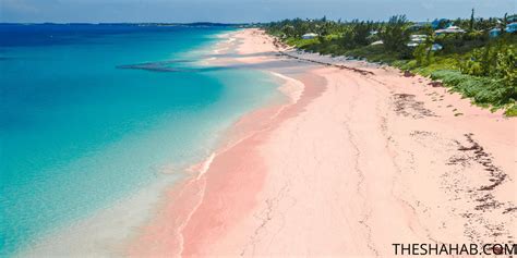 The Prettiest Caribbean Pink Sand Beaches Unleashing The Latest In