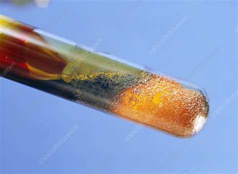 Iron Reacting With Sulphur Stock Image A5000375 Science Photo