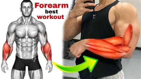 Best Forearm Workouts For Men Youtube