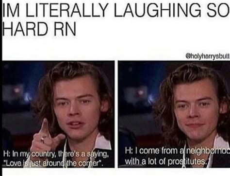 Funny Harry Styles Pictures With Captions