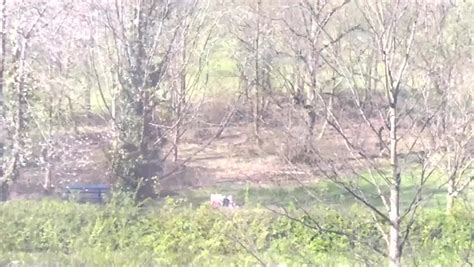 Video Randy Couple Caught Enjoying Outdoor Romp In Heatwave Daily Star