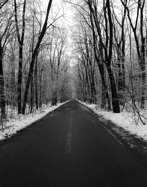 Winter Forest Road Stock Photo Image Of Snow Outdoor 47465652
