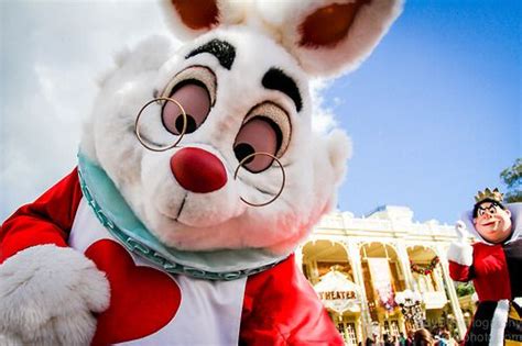 Alica schmidt, a middle distance runner for germany, has been going viral on social media in anticipation of next summer's events. Alice in Wonderland's White Rabbit and Queen of Hearts ...