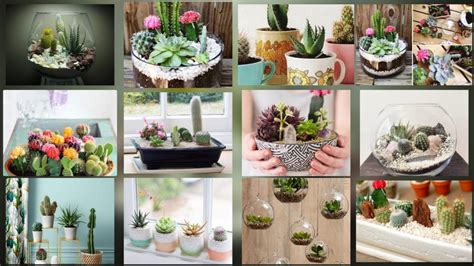 Cactus Decoration Ideas Creative Succulent Planter Ideas Indoor