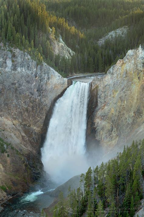 Lower Falls Of The Yellowstone River Alan Majchrowicz
