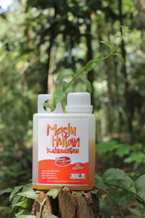 Campurkan sebiji perahan lemon dengan secawan air panas yang telah dicampur madu. Khasiat Madu & Lemon untuk Bronkitis | Madu Hutan Kalimantan