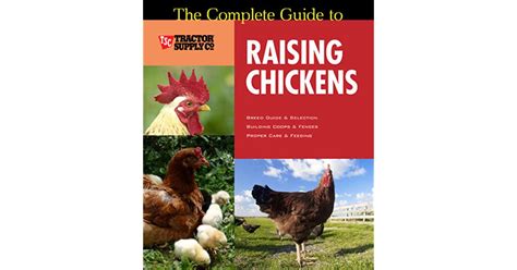 The Complete Guide To Raising Chickens By Christine Heinrichs