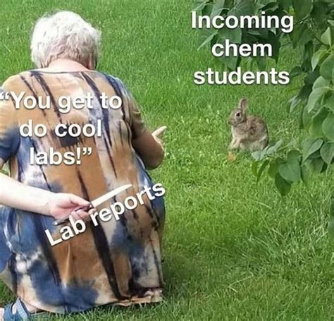 The Best Lab Memes Memedroid