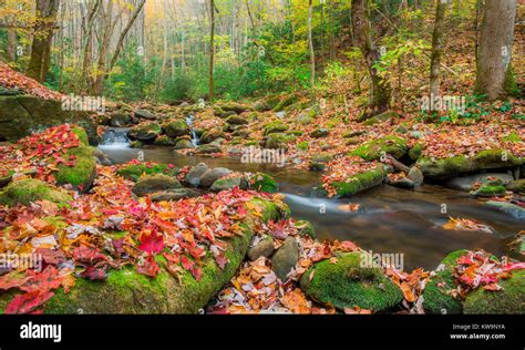 Roaring Fork Motor Nature Trail Hi Res Stock Photography And Images Alamy