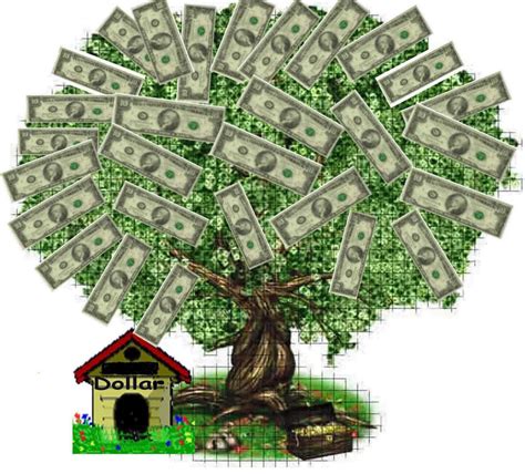 Despite its name, money doesn't grow on a money tree. Money Tree Plant is a traditional symbol of good luck and ...