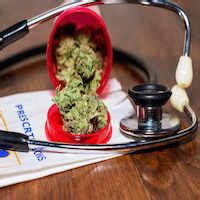 Find updated content daily for illinois medical card. How to Get a Medical Marijuana Card in Illinois