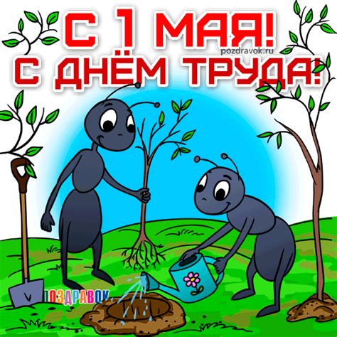 Поздравления с 1 мая в стихах коллегам. Картинки с 1 мая