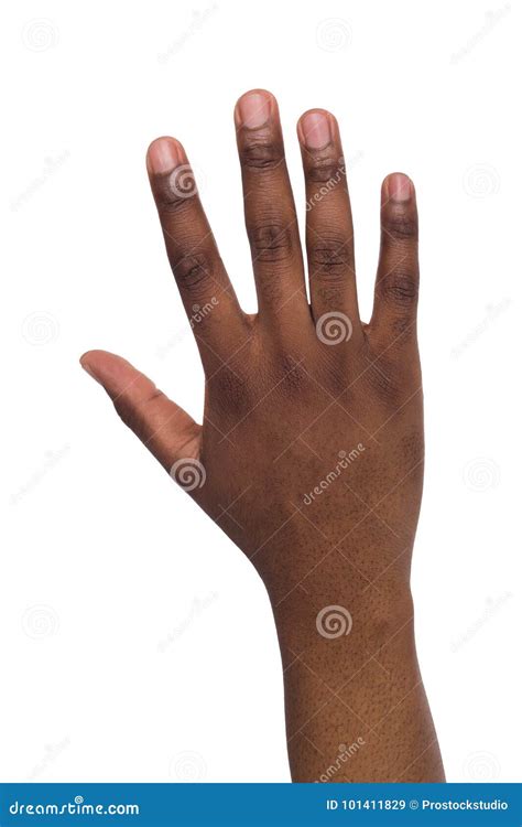 Hand Of Black Male On Isolated White Background Stock Image Image Of