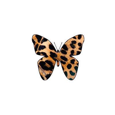 Some of them even come with extra materials like sandpaper or a putty wall texture spray comes next, and just like the wall hole patch the directions need to be followed. Simple Leopard Butterfly Tattoo Design | Butterfly art ...