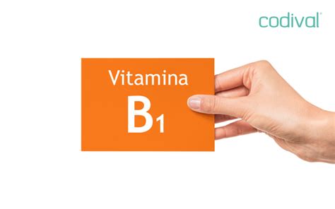 Vitamina B1 Funciones · Para Qué Sirve · Alimentos Ricos En B1
