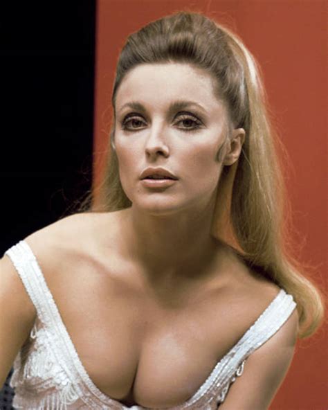 Sharon Tate Pictures Getty Images