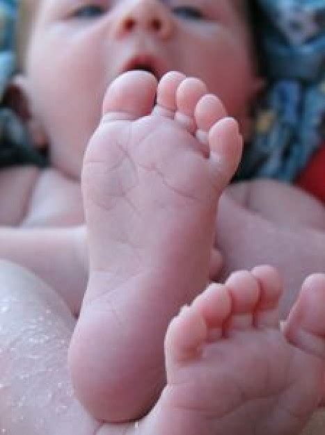 Beautiful Baby Series Free Photographs Of Babys Feet Daddu