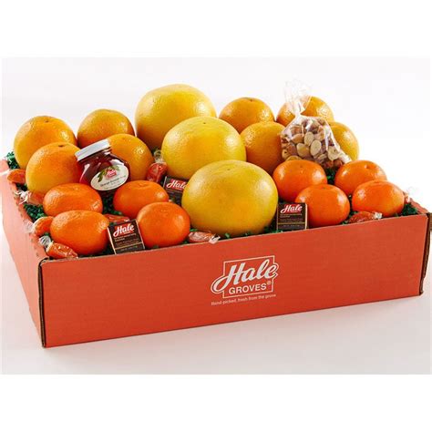 Check spelling or type a new query. Florida's Best Citrus Gift Box | Fruit gifts, Fruit basket ...