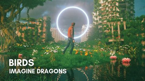 Bird Imagine Dragons Letra