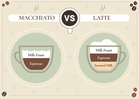 Macchiato Vs Latte The Main Differences With Pictures Coffee Affection