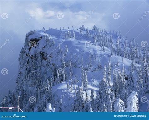 Winter Wonderland Stock Photo Image Of Outdoors Mountain 3968718